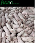 1agro.com.ua