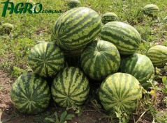 1agro.com.ua