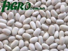 1agro.com.ua