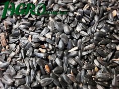 1agro.com.ua