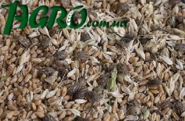 1agro.com.ua