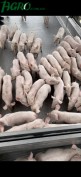1agro.com.ua