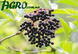1agro.com.ua