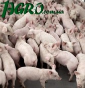1agro.com.ua