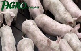 1agro.com.ua