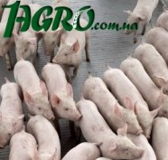 1agro.com.ua