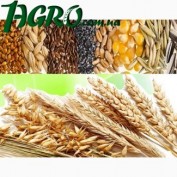 1agro.com.ua