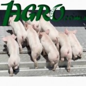 1agro.com.ua