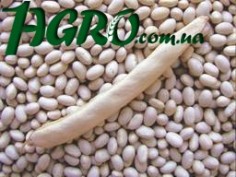 1agro.com.ua