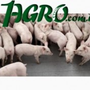 1agro.com.ua