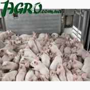 1agro.com.ua