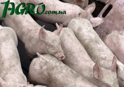 1agro.com.ua