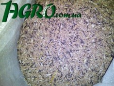 1agro.com.ua
