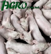 1agro.com.ua