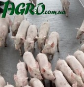 1agro.com.ua
