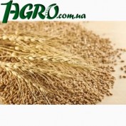 1agro.com.ua