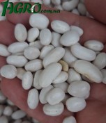 1agro.com.ua