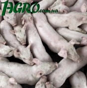1agro.com.ua