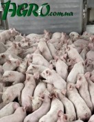 1agro.com.ua