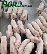 1agro.com.ua