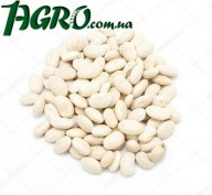 1agro.com.ua
