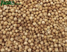1agro.com.ua