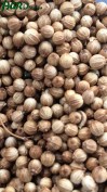 1agro.com.ua