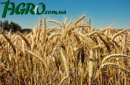 1agro.com.ua