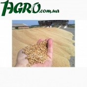 1agro.com.ua
