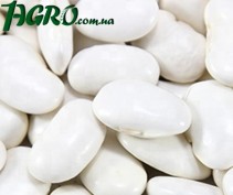 1agro.com.ua