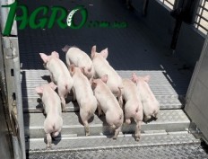 1agro.com.ua