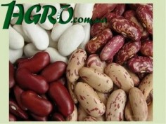 1agro.com.ua