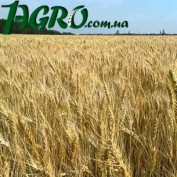 1agro.com.ua