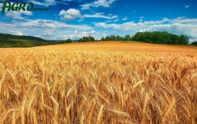 1agro.com.ua