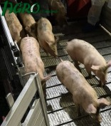 1agro.com.ua