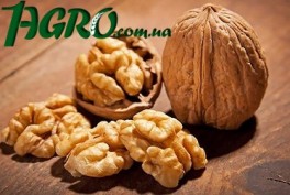 1agro.com.ua