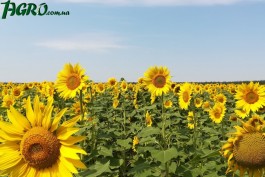 1agro.com.ua