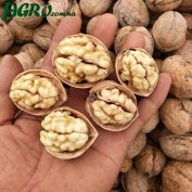 1agro.com.ua