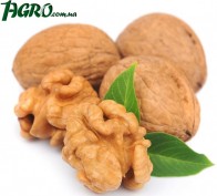 1agro.com.ua