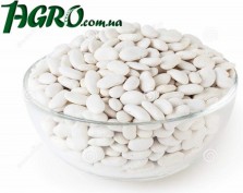 1agro.com.ua