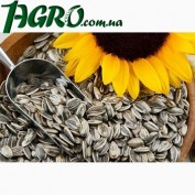 1agro.com.ua