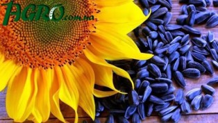 1agro.com.ua