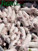 1agro.com.ua