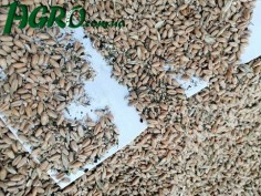 1agro.com.ua