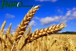 1agro.com.ua