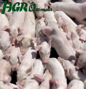 1agro.com.ua