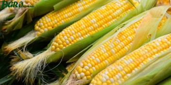1agro.com.ua