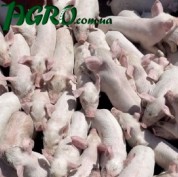 1agro.com.ua