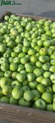 1agro.com.ua