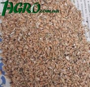 1agro.com.ua